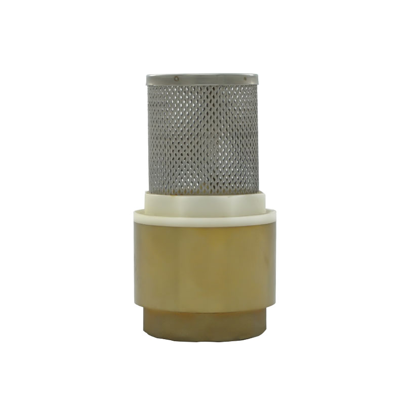 Valve Check Valve